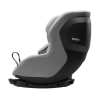 Thule Elm - Light gray